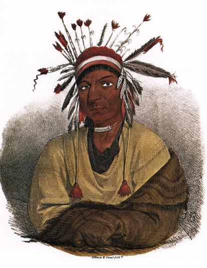 Some American Indians were peaceful and traded with the settlers. Some tried to force groups of settlers back to the 13 Colonies. In other (The Little Crow: A celebrated Sioux Chief.