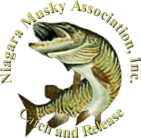 THE PROPER HANDLING AND RELEASE OF MUSKELLUNGE Prepared by the Niagara Musky Association, In