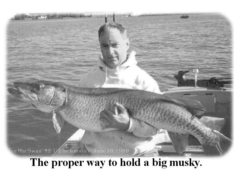 tip of lower jaw to the tip of tail. -If you desire, you can use a plastic tape measure to measure the girth at widest part of body. V Photograph fish.