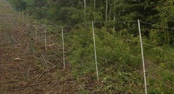 FENCE LINE SELECTION AND PREPARATION Choosing where to put your fence and preparing the area are important first steps in the design and construction of an effective electric fence.