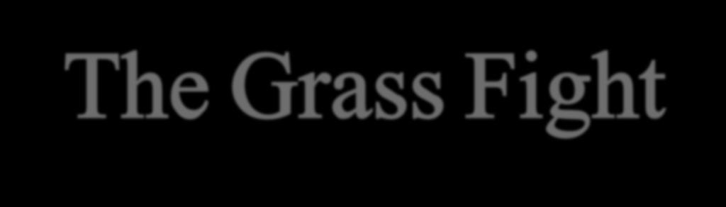 The Grass Fight Austin &
