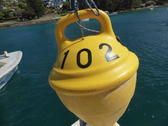 the buoy tied to the forestay.