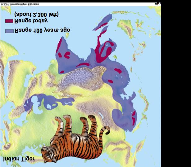 Island species, endemic species, and habitat islands Habitat fragmentation: large