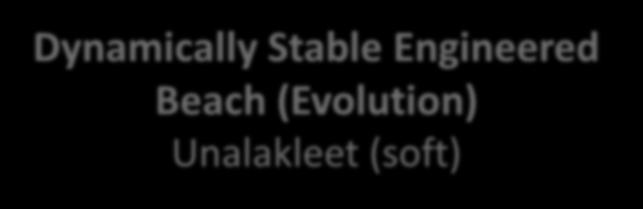 Dynamically Stable Engineered Beach (Evolution) Unalakleet (soft)