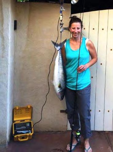 45kg on 4kg Women s record was Sarah Pitman who captured a similarly well fed Australian Salmon. Congratulatoins to both anglers, a great way to start the new club year.