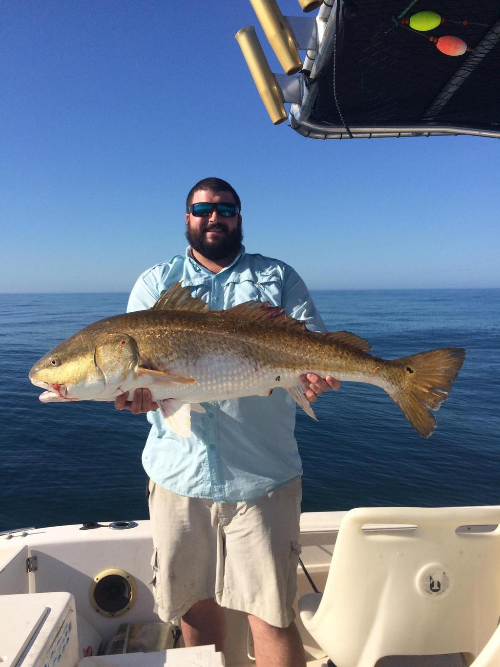 Richard Bickley caught this nice trophy red fish while fishing with Daryl Chandler at Gray s Reef.