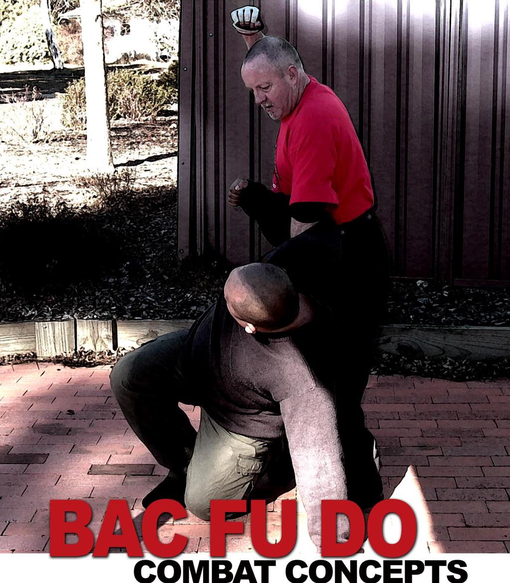Article by Morgan Buchanan. Bac Fu Do (White Tiger Way) Kung Fu is a powerful composite style martial art taught by veteran Australian Kung Fu master Sifu David Crook.