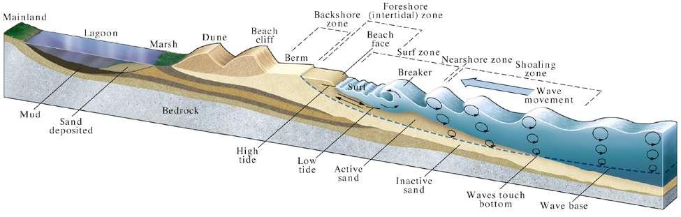 Profile of a typical barrier island Winter beach Shorter