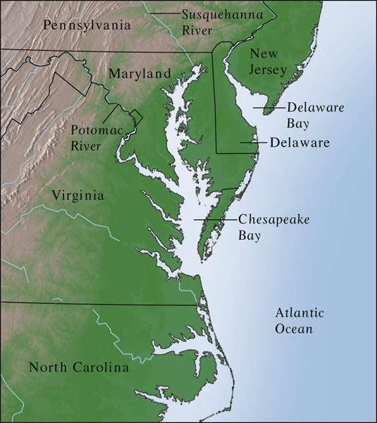 Chesapeake Bay Estuary is a good example of a