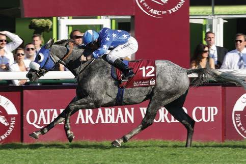 But perhaps one of the sweetest wins this year was that of Chaddad (Mared Al Sahra x Nisaee by Dormane), who claimed the Group 1 Qatar Total Arabian Trophy des Poulains in his second start, this one