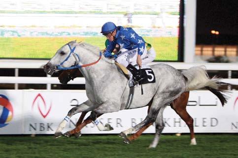 Their 2013 winners include: Areej (Amer x Akie Croix Noire by Tidjani), winner of the Group 1 Arabian Horse Organization Hawthorn Hill International Arabian Stakes; Assy (Amer x Margouia by Tidjani),