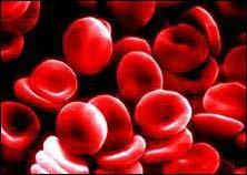 1972 -- Blood Packing After reinfusion, HB concentration increased 13%.