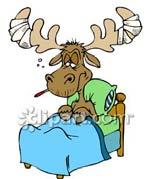 All Lodge and Chapter members and their families are invited. The next Mt. Lassen Legion of the Moose meeting will be at the Lewiston Lodge on Saturday June 27, 2015.