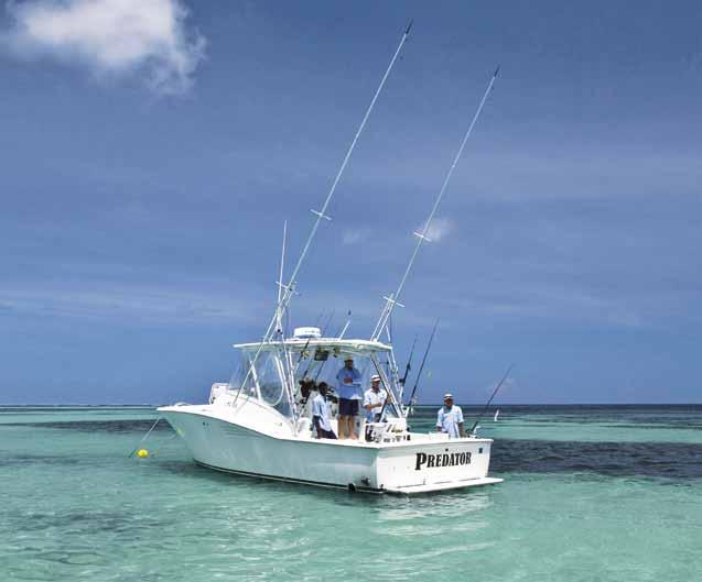 Poivre and its surrounding waters are a game fisherman s dream and renowned for world-class