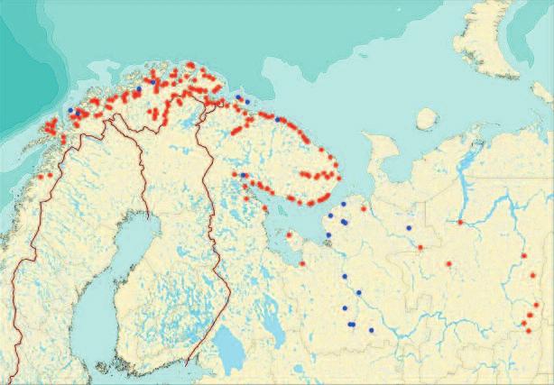 funding from Norway, the Russian Federation and Finland. The Kolarctic Salmon Project has generated one of the most comprehensive and detailed genetic datasets for any fish species.