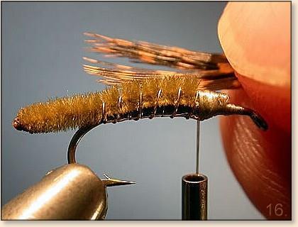 14. Measure the "beard" or legs from the "backside" of the fly. The thread torque will bring the fibers under the thorax and into position as legs.