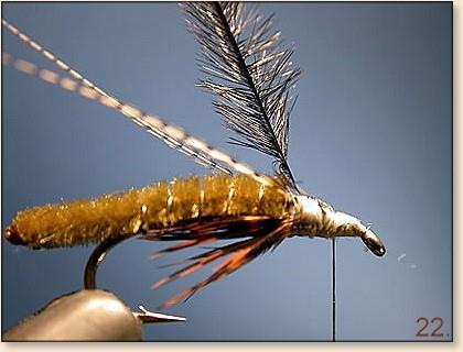 20. Tie in the ostrich herl like you would a dry fly hackle.