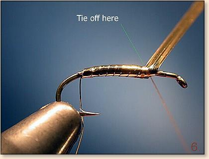4. Bind the tinsel at the thorax area as shown above. Don't be shy, wrap it good. 5.