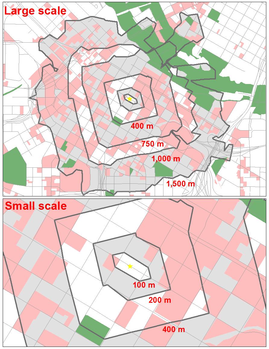 Figure 24. Example of network buffers used to tabulate land use variables at varying spatial scales for model-building.