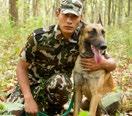 for a sniffer dog trained to track down tiger poachers.
