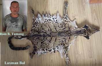 Court hearing for slaughter and consumption of tigers Qinzhou, Region of Guangxi, China June 5, 2014 A Chinese tycoon who supervised tiger electrocutions followed by their dismemberment, evisceration