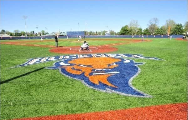 One (1) outfield fence banner sign displayed at all Bucknell baseball