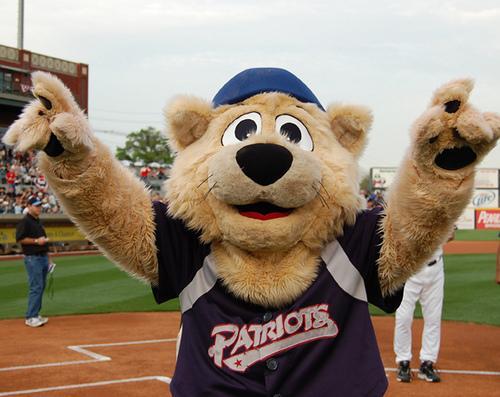 The Somerset Patriots have people