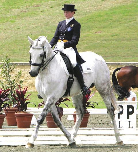 He has competed with great success through the grades and is currently in his first season at Grand Prix, Inter II level.