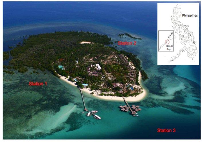 22 Figure 1. Aerial photograph of Arreceffi Island in Honda Bay, Palawan, Philippines showing the study s stations.