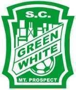 GREEN WHITE SOCCER CLUB A non-profit 501(c)(3) community based organization Working at Club Events o Spring/fall hot chocolate/lemonade day o Tournament o Picnic o Out-of-town tournament picnic o