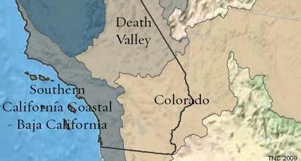 Freshwater Biodiversity in California 18 Colorado Freshwater Ecoregion The Colorado freshwater ecoregion is comprised of the Colorado River drainage.