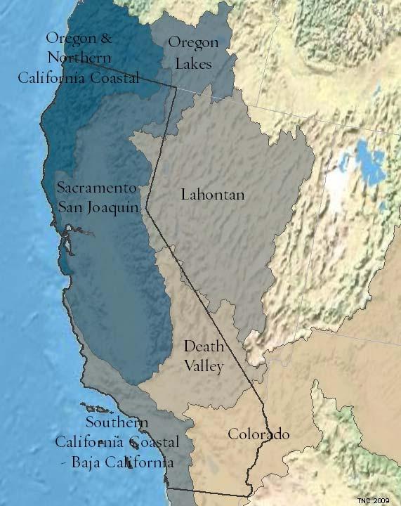 Freshwater Biodiversity in California 8 FEOW project data on fishes and amphibians in each of the seven ecoregions. The methods employed to synthesize biodiversity data are described in Appendix 2.