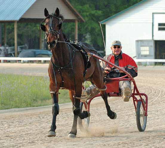Careers in Harness Racing The United States Trotting Association (USTA) was founded in 1939 to license participants and officials in racing, establish rules to govern racing and register horses for