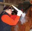 Grooms/Caretakers are responsible for the day-to-day care of a horse under a trainer s guidance.
