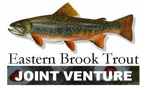 Conserving the Eastern Brook Trout: Action Strategies Prepared by: