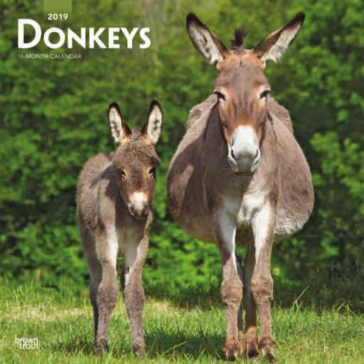 30.5 x 30.5cm Animals & Wildlife donkeys Suggested Retail: 9.