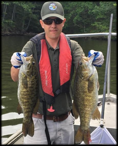Percent Percent 16 14 12 1 8 6 4 2 Largemouth Bass 1 2 3 4 5 6 7 8 9 1 11 12 13 14 15 16 17 18 19 2 21 22 23 24 Total Length (inches) 2 Smallmouth Bass