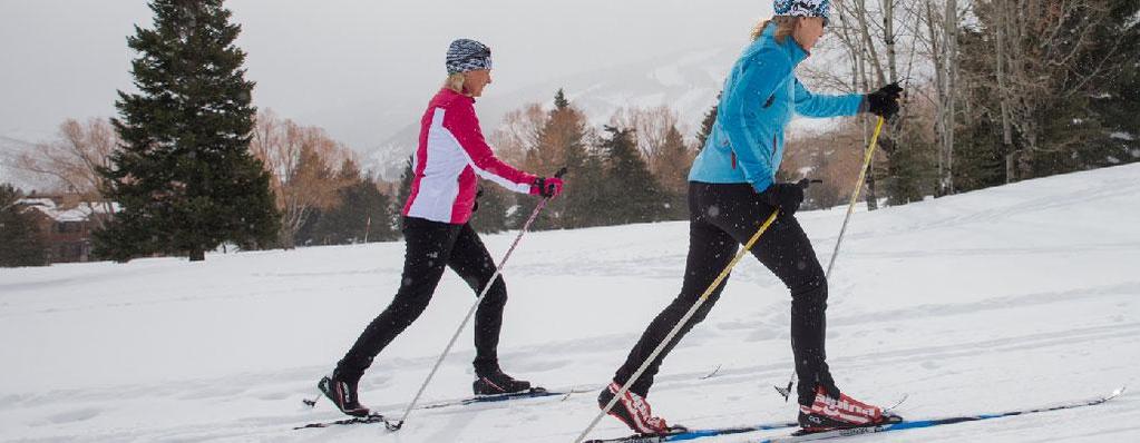 Basic technique: Diagonal stride Advanced beginner/ intermediate moving towards purposeful skiing Working on weight