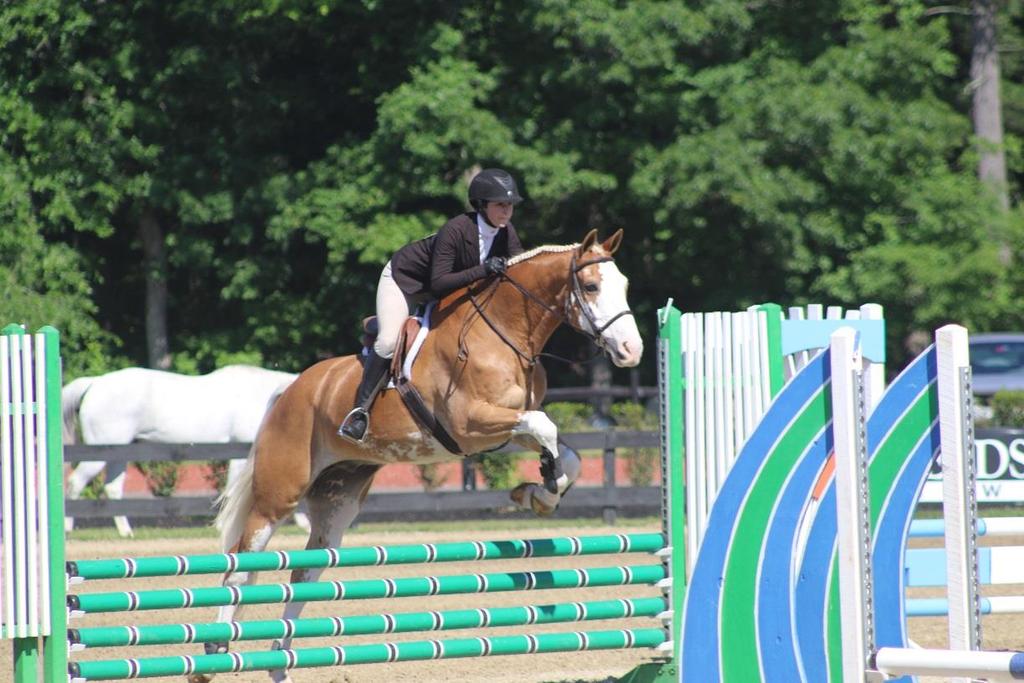 EQUITATION CLASSICS 43. THE STONE PONY JUNIOR EQUITATION CLASSIC fences not to exceed 2 6 with no combinations.
