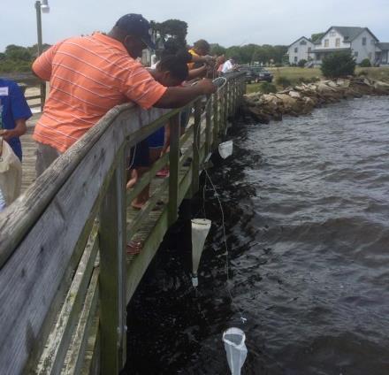 analysis. Learn how our interns collect samples for NOAA s Phytoplankton Monitoring Network.