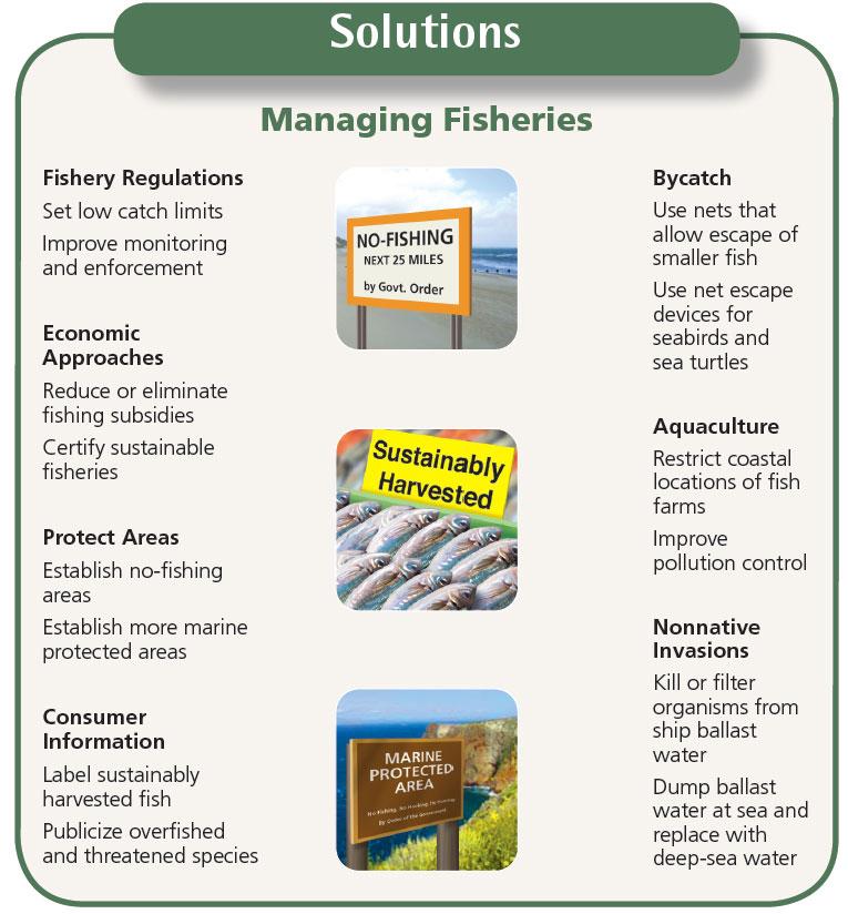 Ways to manage fisheries more