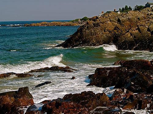 Rocky shores Also called rocky intertidal zone many places to live in this habitat,