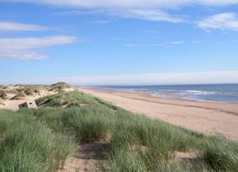 Coastal Sand dunes Coastal sand dune