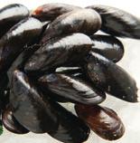 Fresh Clams Fresh Oysters CLAMS 465617 Clam Little Neck 250 ct Farmed* 1/250 ct 990630