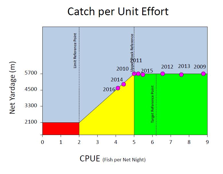 Point to provide some income for the fishers. The fishery has remained strong (over 20 tonnes) since indexing began (Figure 4), there has been no need to shorten allowable yardage.