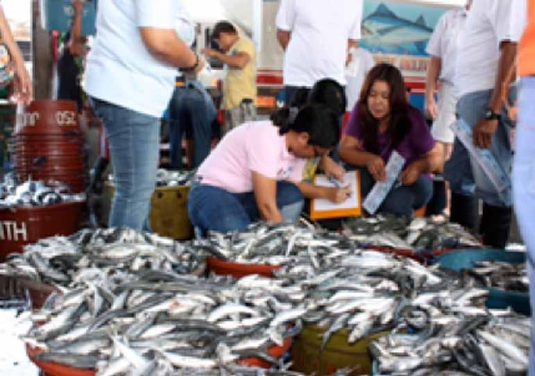 imperative for effective fisheries management particularly of shared stocks.