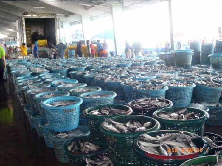 Port State Measures and Port Monitoring in Southeast Asia Pirochana Saikliang, Nopparat Nasuchon and Magnus Torell The demand for fish and fishery commodities around the world has been increasing.