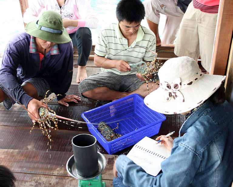 In Vietnam, the total number of mechanized marine fishing boats was reported to have increased from 44,000 in 1991 to 91,000 in 2005 (Hung, 2010), while the total capacity of the fishing boats had