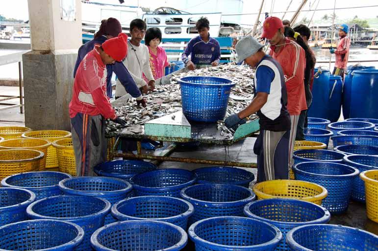 technologies and practices, sustainable fisheries management, responsible aquaculture development, and fishery post-harvest technologies that ensure the safety and quality of fish and fishery