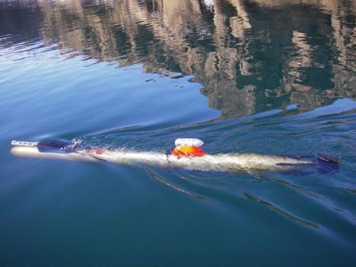 Figure 3: AUV on mission (16) AUVs are programmable robotic vehicles that drift, cruise, or glide through the ocean.